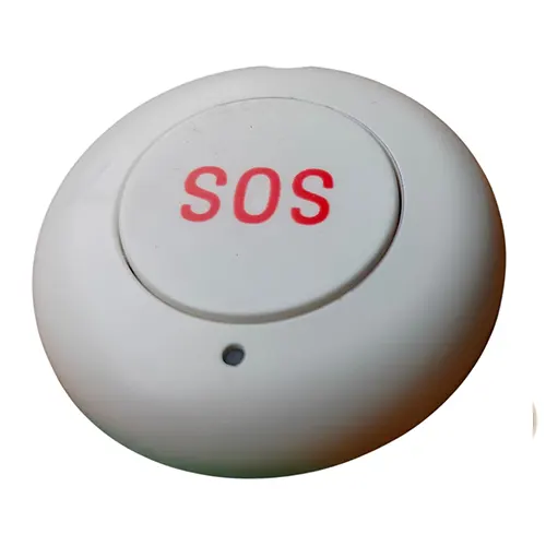 Security Alarm System